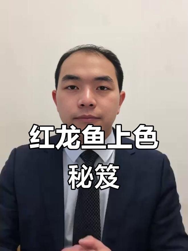 王益紅龍魚(yú)（泗水紅龍魚(yú)怎么養(yǎng)容易發(fā)色這幾個(gè)小技巧你要知道）