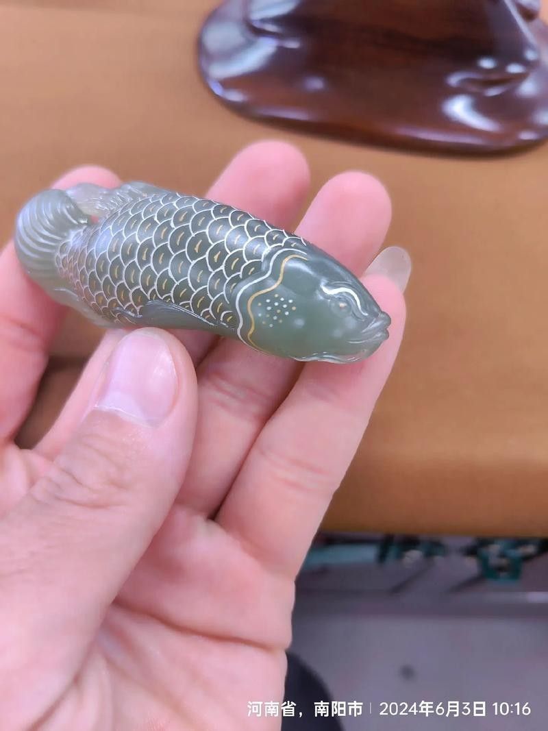 給我一張24K金龍魚的視頻
