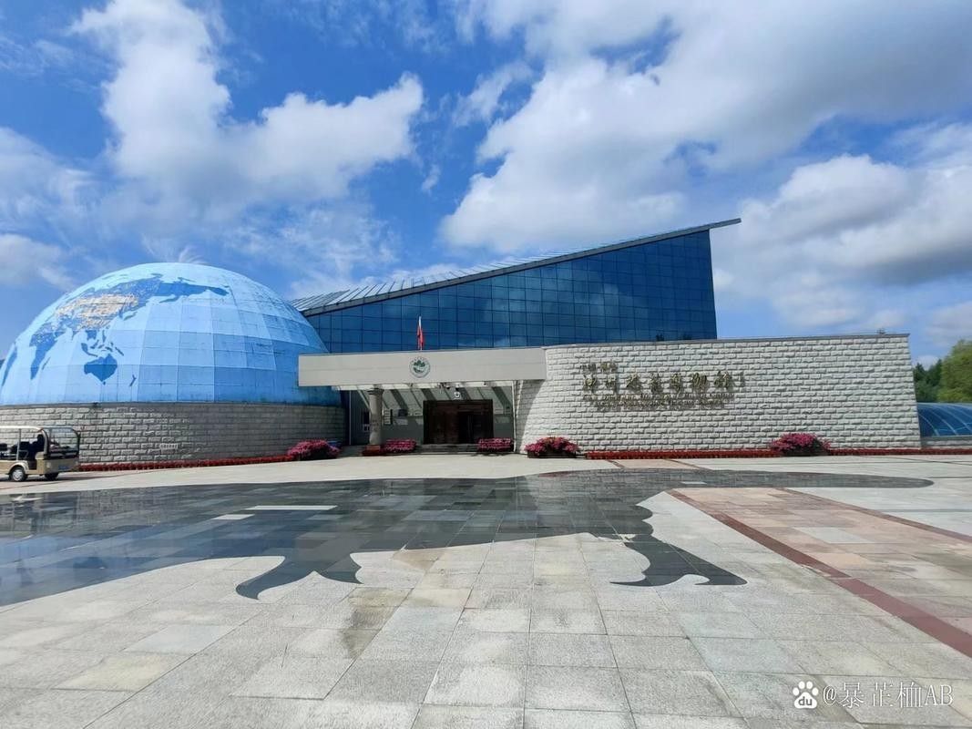 伊春哪個水族館龍魚好？祥龍魚場龍魚
