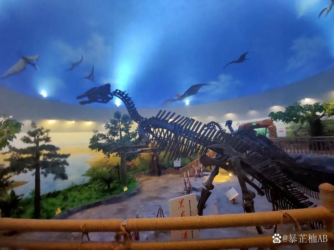 伊春哪個水族館龍魚好？祥龍魚場龍魚