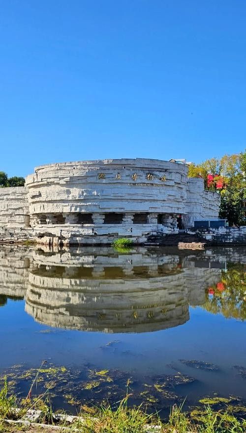 伊春哪個水族館龍魚好？祥龍魚場龍魚