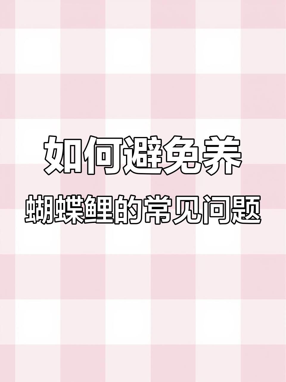 蝴蝶鯉，祥龍魚場（祥龍魚場蝴蝶鯉養殖技巧） 蝴蝶鯉，祥龍魚場（祥龍魚場蝴蝶鯉養殖技巧） 觀賞魚百科 第10張