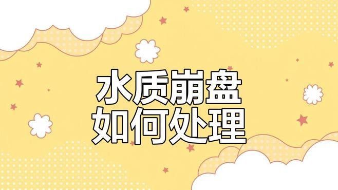 錆假龍觀賞魚飼養(yǎng)條件（錆假龍觀賞魚的飼養(yǎng)條件）