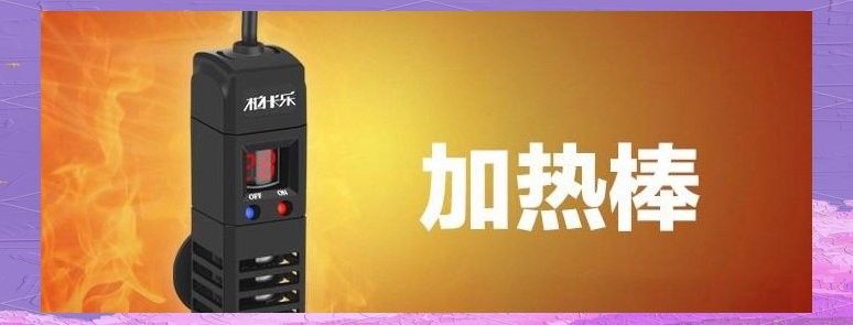 如何選擇適合金龍魚的加熱棒（如何選擇適合大型龍魚缸的加熱棒）