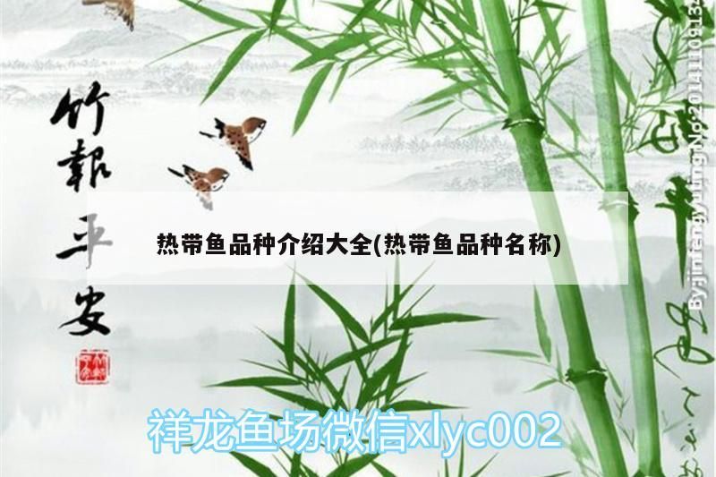 熱帶魚品種介紹大全(熱帶魚品種名稱) 熱帶魚品種介紹大全(熱帶魚品種名稱) 觀賞魚百科