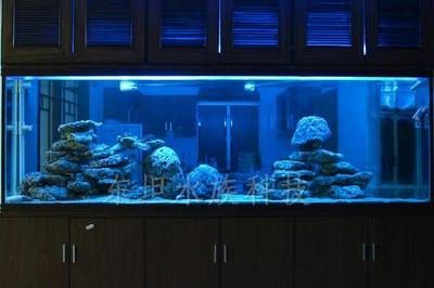 廣州買魚缸去哪里買便宜：在廣州買魚缸的便宜地點是基于搜索結果的建議結果的