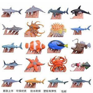 索迪卡紅龍20公分（索迪卡紅龍20公分是一種大型的觀賞魚，魚友：號半的干活）