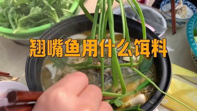 龍魚翹嘴的餌料有哪些？（釣翹嘴用什么餌料）