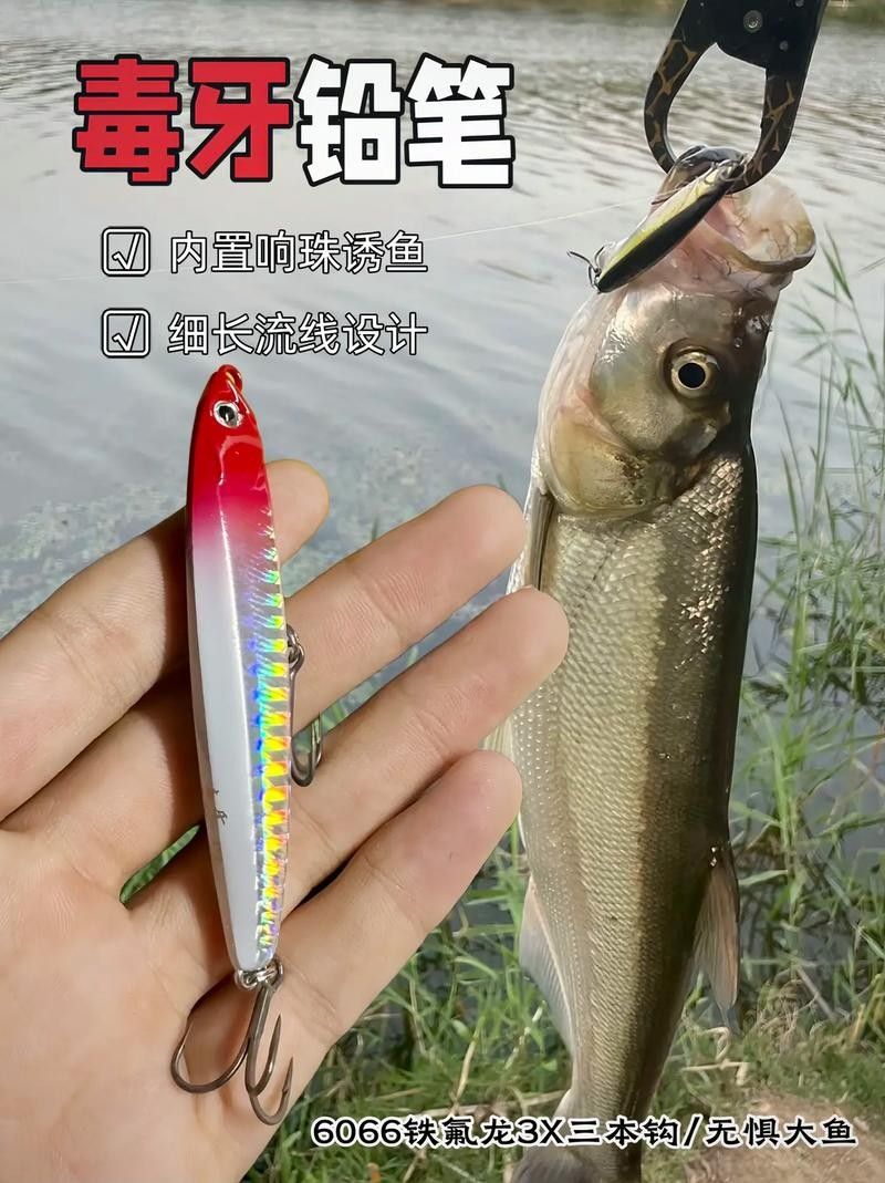 龍魚翹嘴的餌料有哪些？（釣翹嘴用什么餌料）