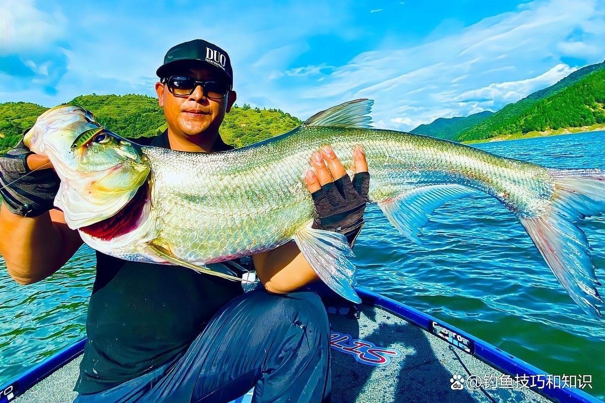 龍魚翹嘴的餌料有哪些？（釣翹嘴用什么餌料）