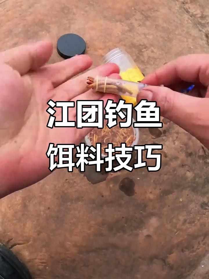 面包蟲釣魚十大忌諱（面包蟲釣魚十大忌諱劇癮雷達d）