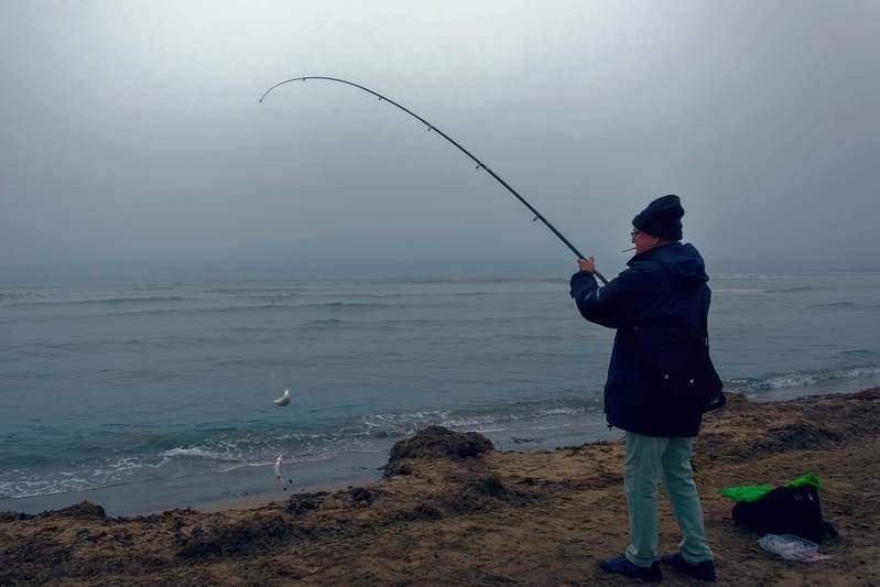 面包蟲釣魚十大忌諱（面包蟲釣魚十大忌諱劇癮雷達d）