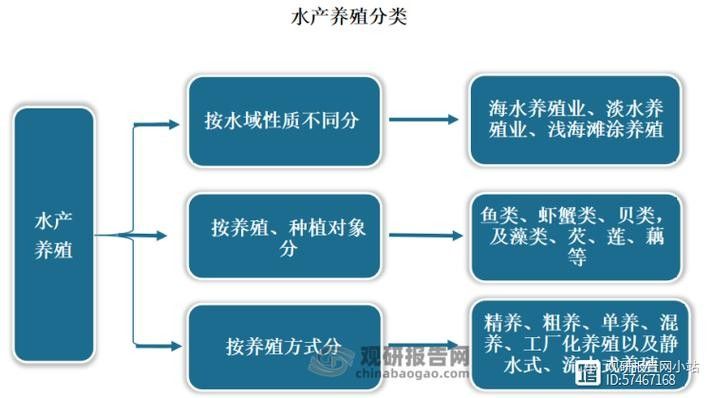 如何預防龍魚寄生蟲病？（如何預防養(yǎng)魚小藝,龍魚寄生蟲:了解常見癥狀和預防方法!）