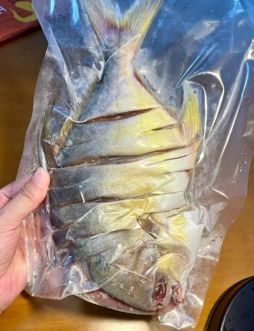 廣東湛江金鯧魚