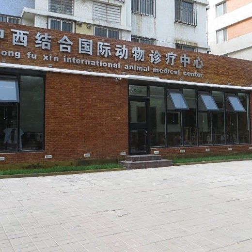 北京哪家寵物醫院擅長龍魚手術？