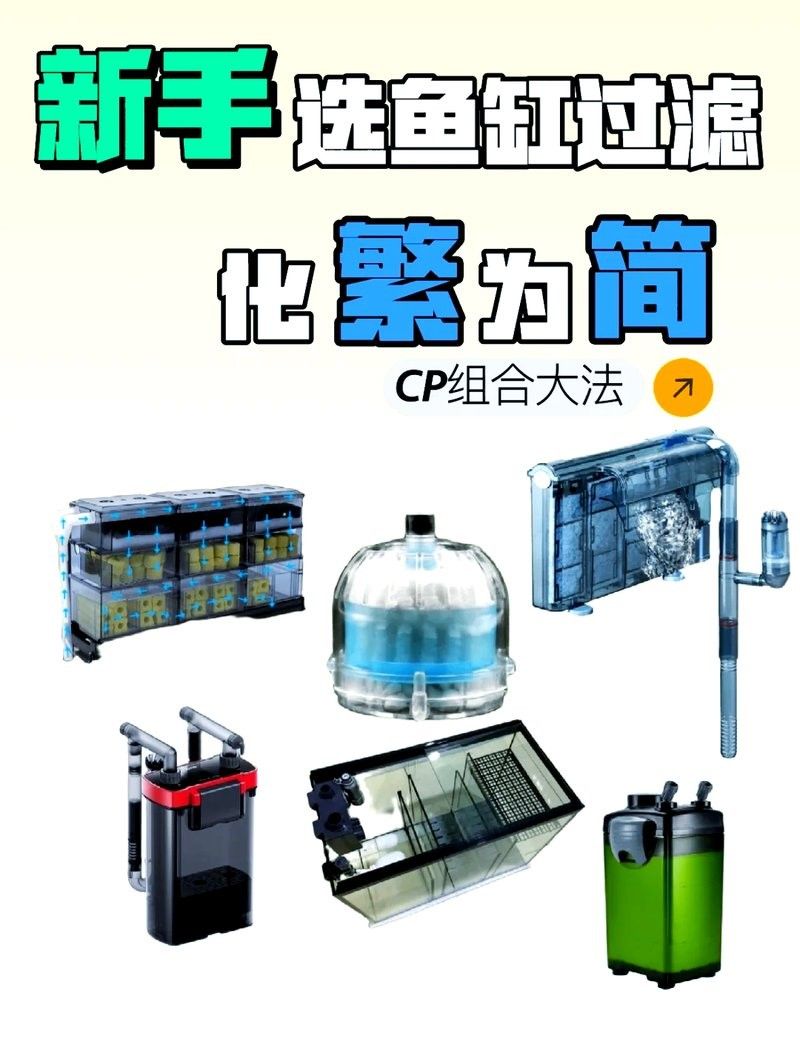 80魚缸養龍魚需要多大的過濾