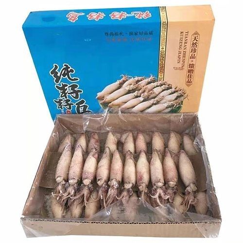 瑤海金龍魚