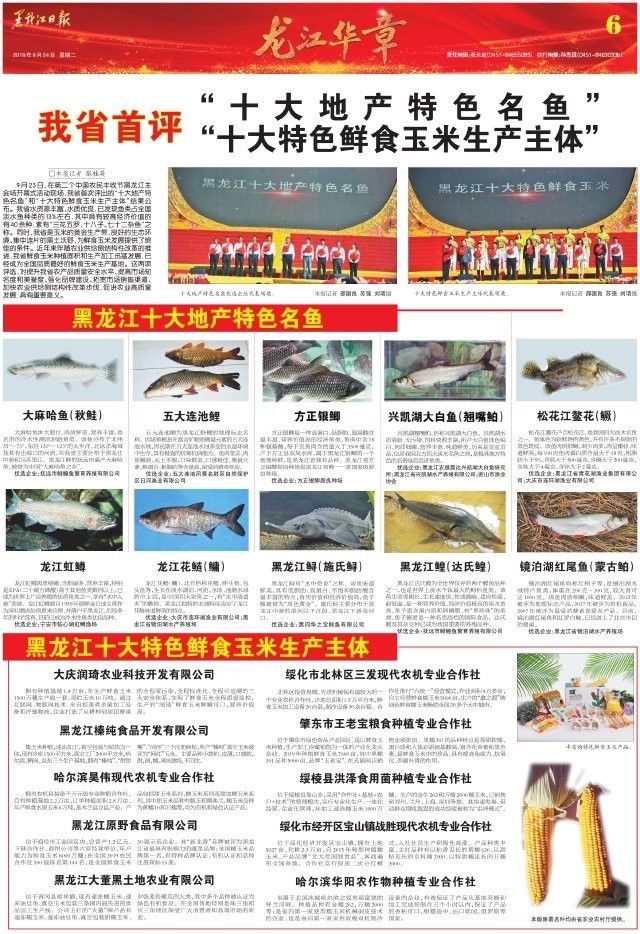 方正龍魚是什么魚（方正銀鯽和龍魚有什么區(qū)別？）
