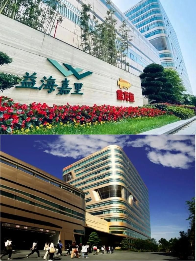如何聯系防城港金龍魚進行應聘