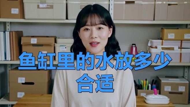 龍魚缸水位多高最合適？