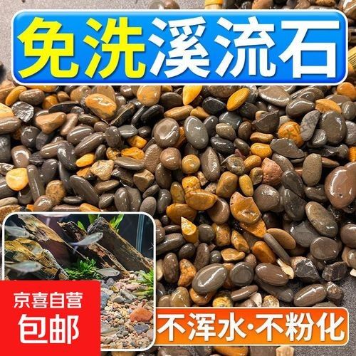 雷龍魚缸底砂用什么顏色好