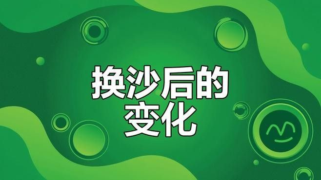 雷龍魚缸底砂用什么顏色好