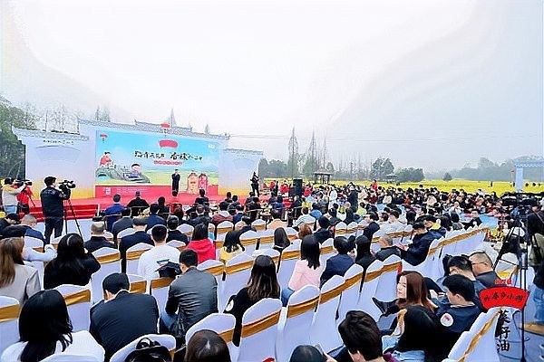 金龍魚的企業使命是什么