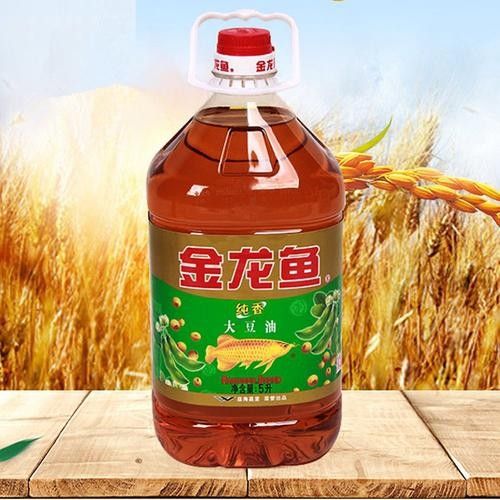 甕安金龍魚