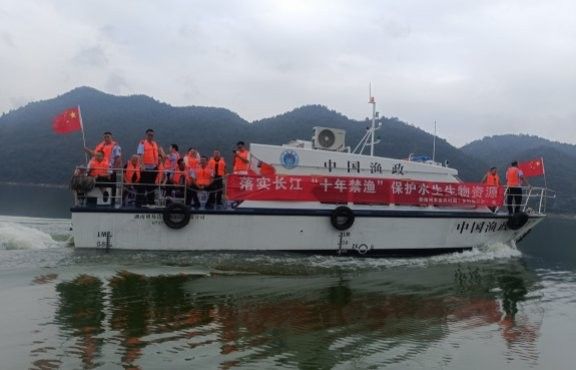 甕安金龍魚