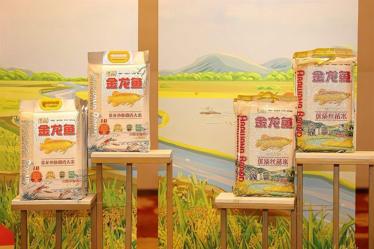 金龍魚京東定制裝修有哪些套餐可選