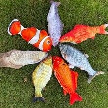哈爾濱龍魚魚苗有哪些品種？（哈爾濱哪里可以買到健康的龍魚魚苗？）