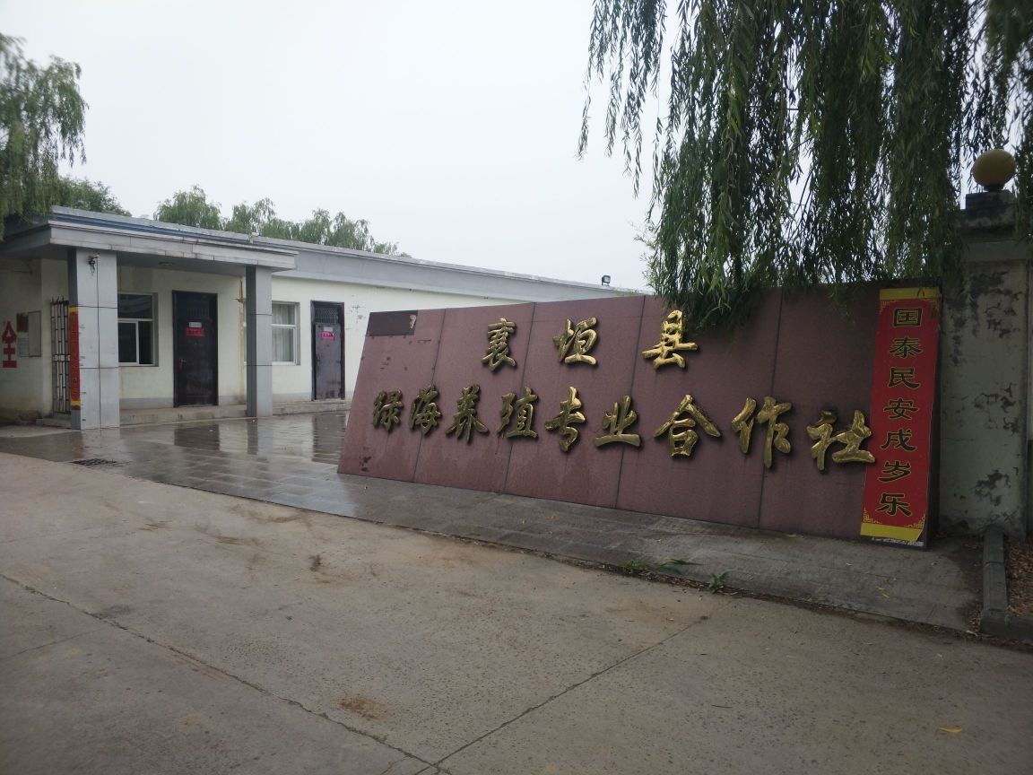 襄垣龍魚(yú)