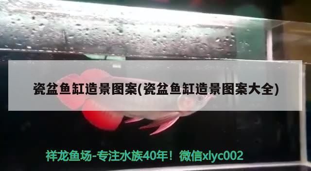 瓷盆魚缸造景圖案(瓷盆魚缸造景圖案大全)