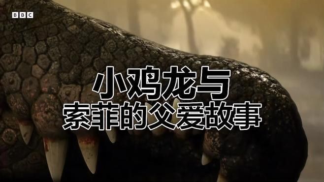 哪些恐龍會親代撫育幼仔？