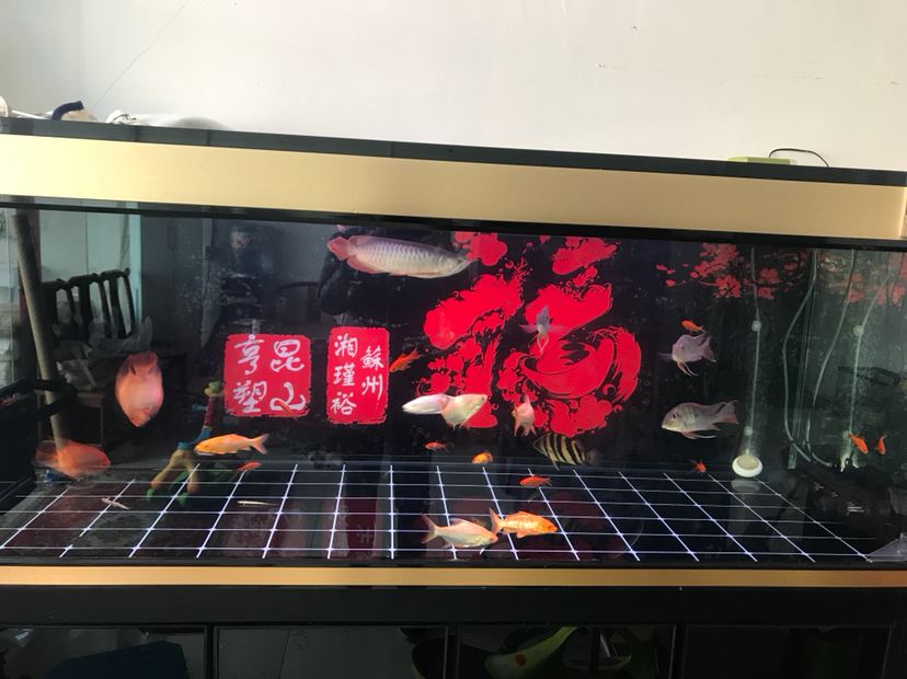 氧氣泵那款靜音點氣量大的（氧氣泵那款靜音點氣量大的，本文旨在介紹一款高效、靜音且具有大流量的氧氣泵）