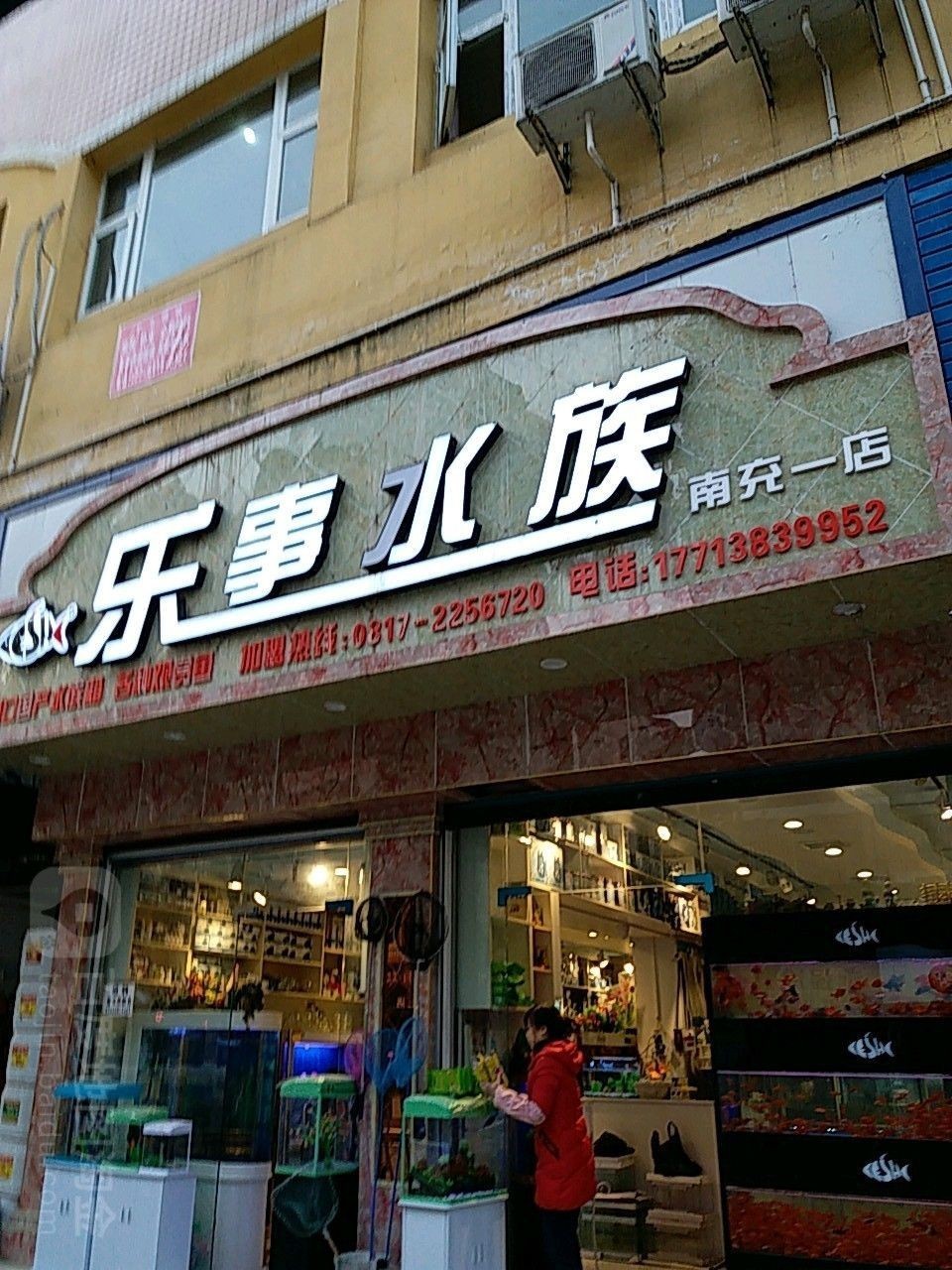 高坪哪個水族館龍魚好？祥龍魚場龍魚（南充高坪哪個水族館龍魚好祥龍魚場龍魚養(yǎng)殖場信息）
