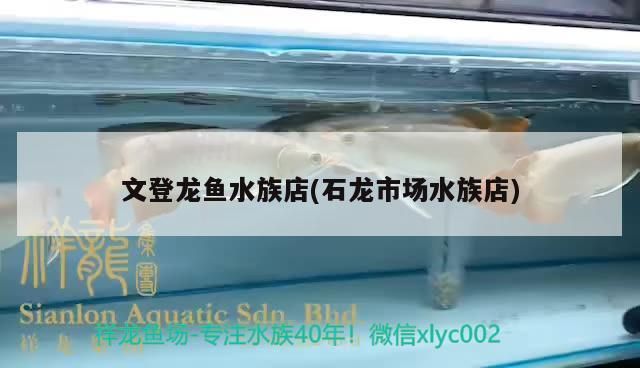 文登龍魚水族店(石龍市場水族店)（文登龍魚水族店）