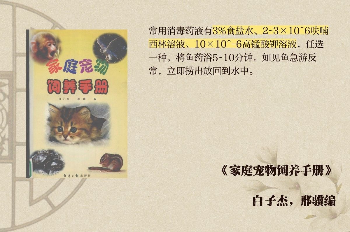 龍魚吃金魚需要消毒嗎（龍魚吃金魚是否需要消毒，龍魚吃金魚需要消毒的問題）