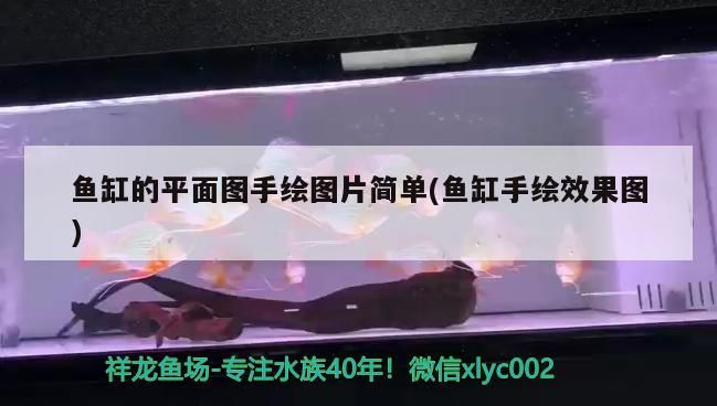 <strong><mark>桂林</mark></strong>魚缸批發(fā)市場在哪里（ <strong><mark>桂林</mark></strong>魚缸批發(fā)市場在哪里進(jìn)貨）（<strong><mark>桂林</mark></strong>魚缸批發(fā)市場）