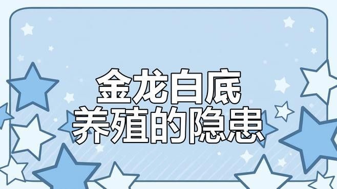 白底魚缸適合養什么魚？（白底魚缸適合養什么魚）