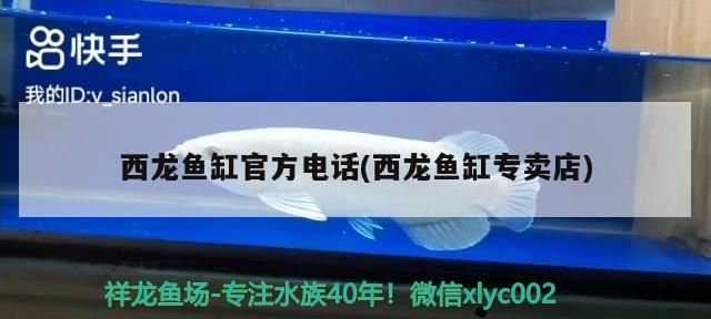 西龍魚缸官方電話(西龍魚缸專賣店)（西龍魚缸三條線接西龍魚缸官方電話的方法）
