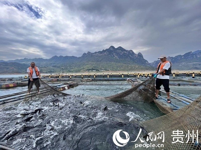 江永哪個(gè)水族館龍魚好？祥龍魚場(chǎng)龍魚（廣州祥龍魚場(chǎng)龍魚養(yǎng)殖場(chǎng)）
