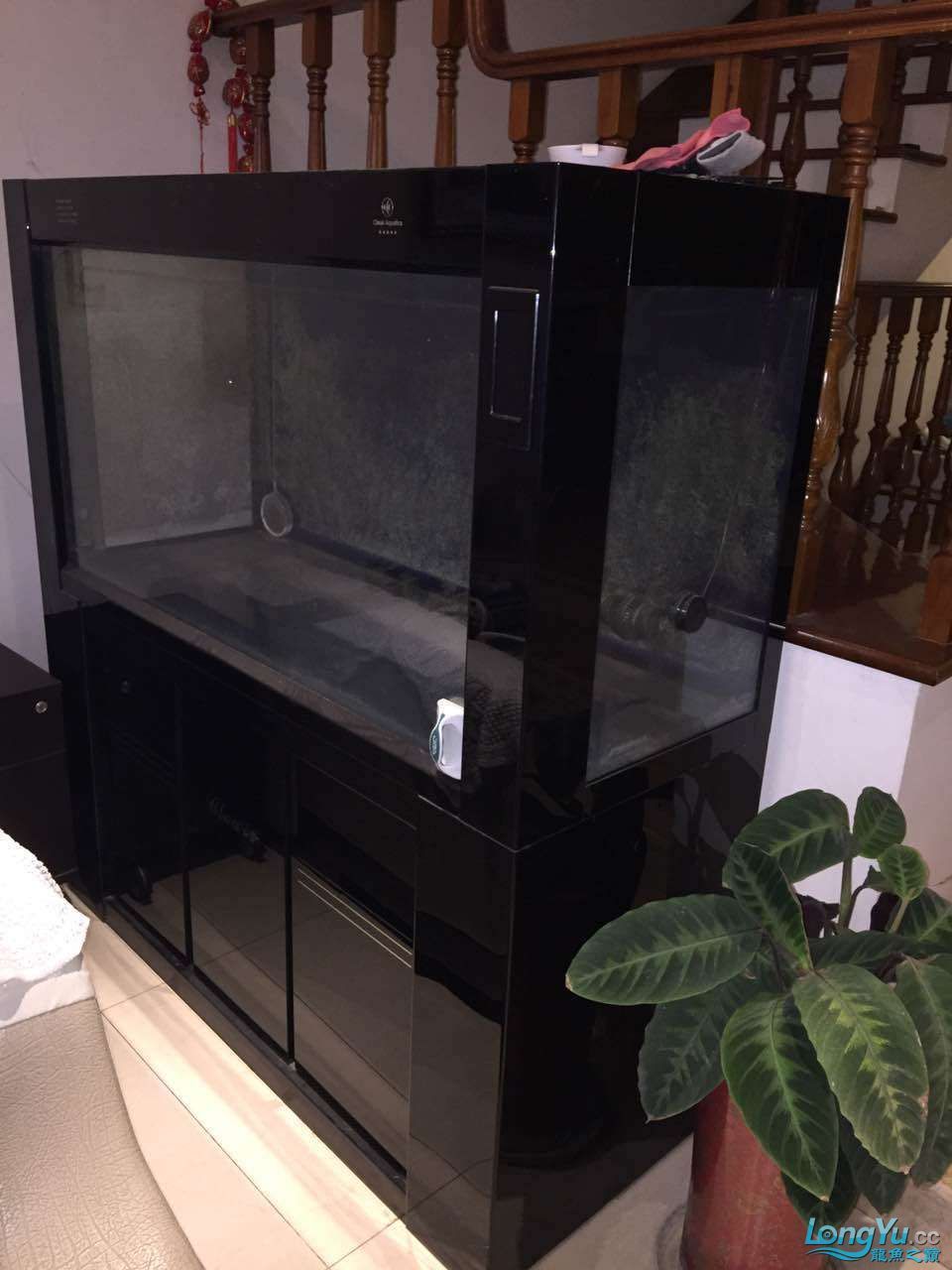吐血轉移至號角成品底部濾缸1508060限度自舉（吐血轉移至號角成品底部濾缸）