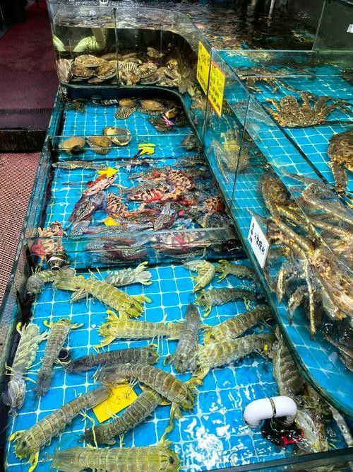 龍虎匯的海鮮價格如何（如何通過官方渠道查詢龍虎匯海鮮價格？）