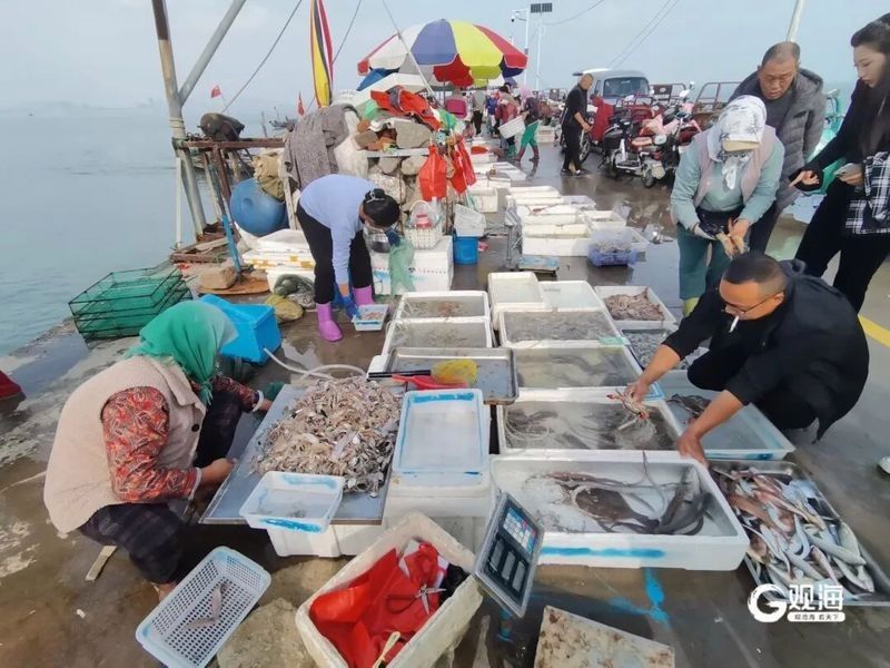 龍虎匯的海鮮價格如何（如何通過官方渠道查詢龍虎匯海鮮價格？）