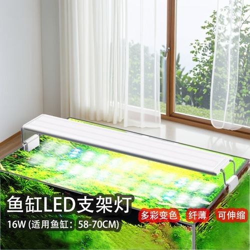 龍魚缸水草燈如何選擇（如何選擇魚缸水草燈）
