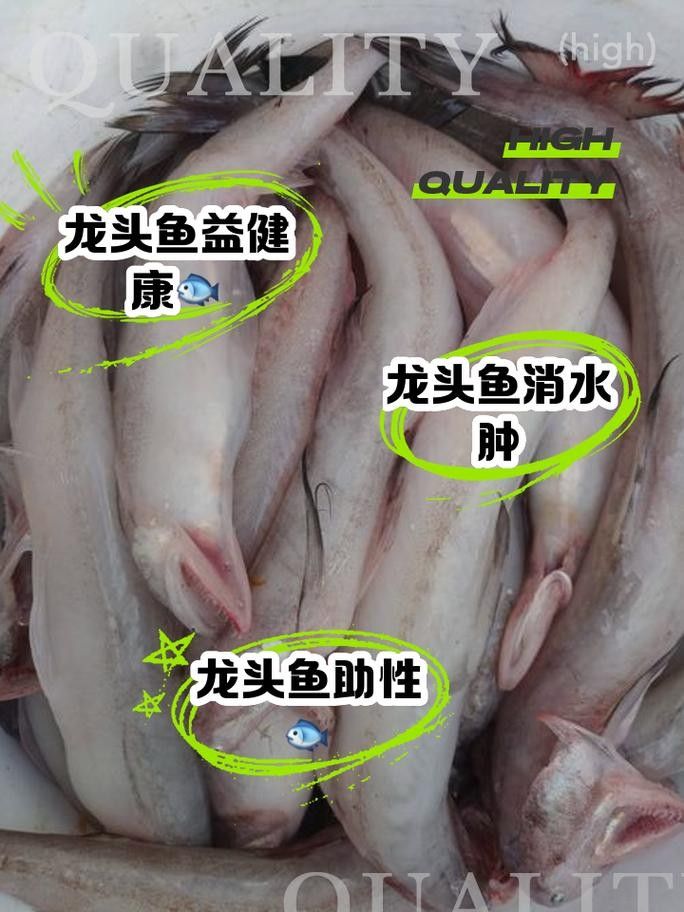 龍魚相克的食物（龍魚不宜食用的食物）