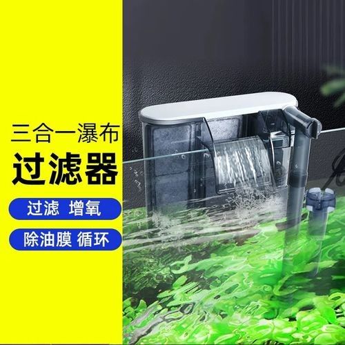 如何選擇節能型魚缸設備？（節能型魚缸設備如何選擇）