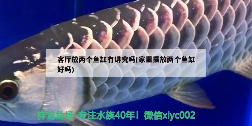 客廳放兩個魚缸有講究嗎(家里擺放兩個魚缸好嗎)（客廳放兩個魚缸有講究嗎，客廳里能放兩個魚缸嗎，客廳能放兩個嗎）