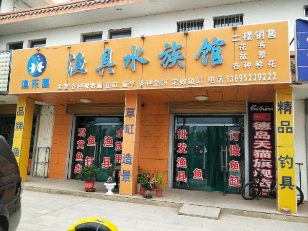 青銅峽哪個水族館龍魚好？祥龍魚場龍魚（青銅峽市祥龍魚場）
